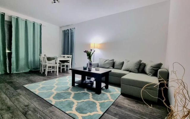 Swan Brasov Apartment