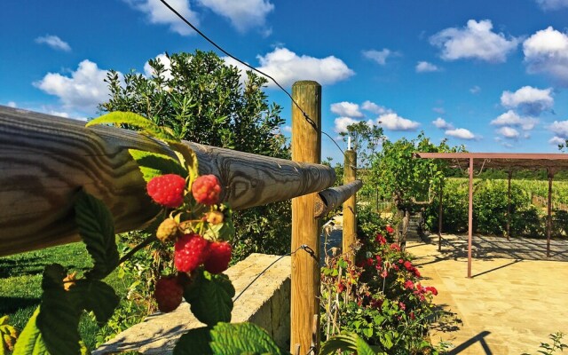 Agriturismo Vigna Corallo