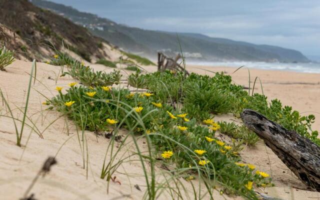 Buffelsdam Country House