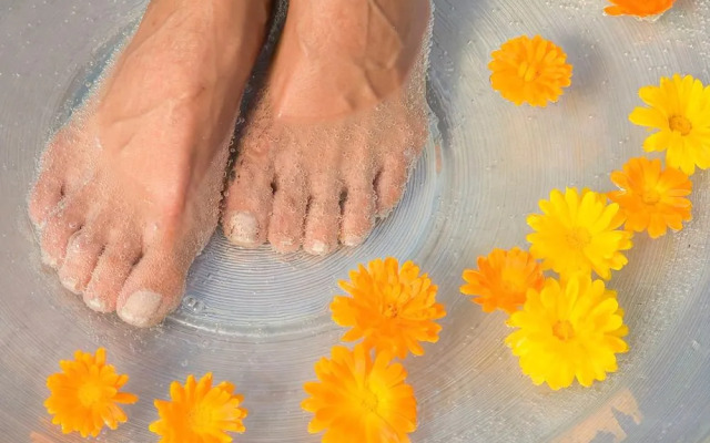 Ringhotel Zum Goldenen Ochsen