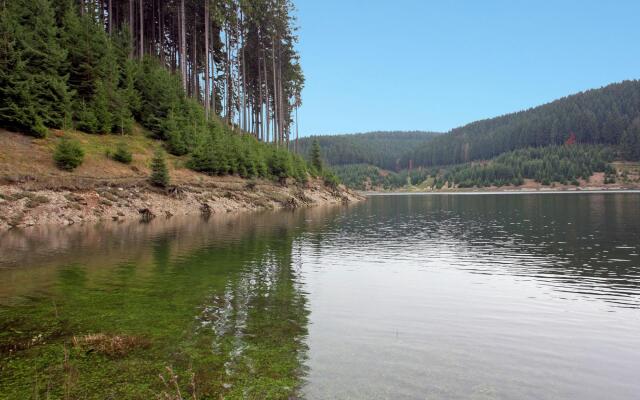 Cozy Apartment Near Trails