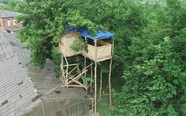 Eagle Nest