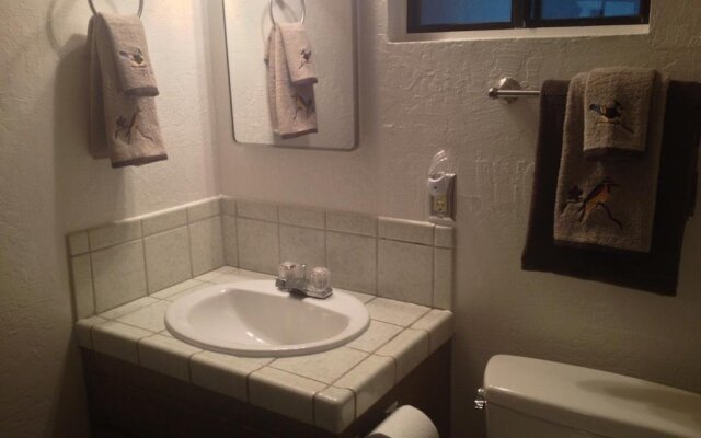 Yosemite Creekside Birdhouse