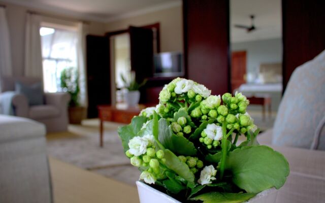 Wild Olive Executive Suite