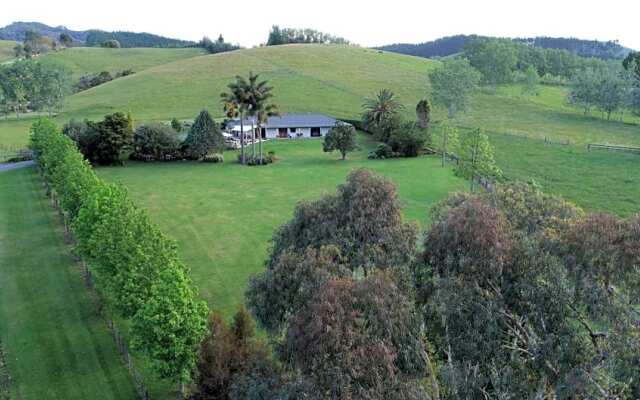 Rural Palms