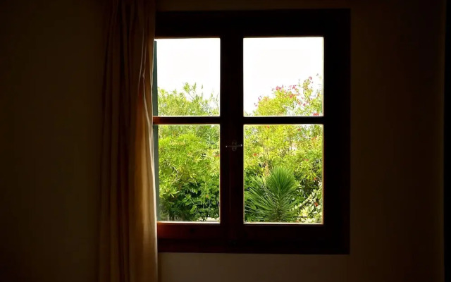 Kostas' Garden
