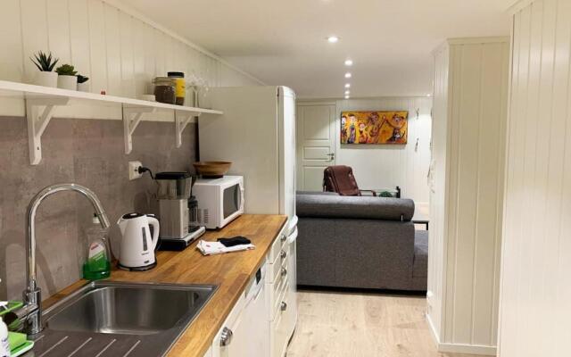 Newly renovated basement apartment