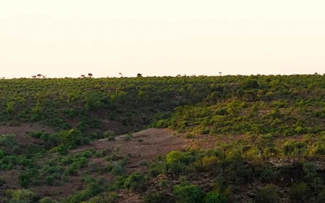 Mashatu Euphorbia Villas