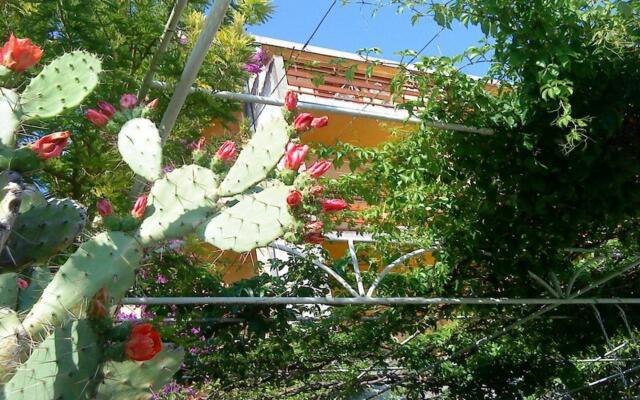 Bor - with great view - SA2(2)Levant