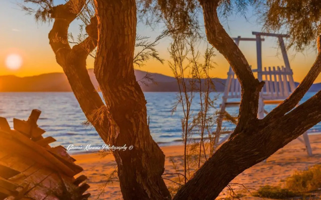 Mikri Vigla Hotel Beach Resort