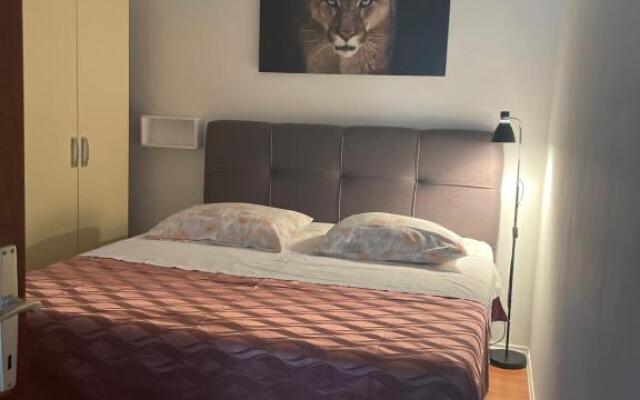 Apartments Iva