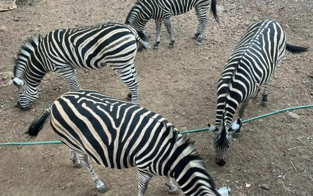 Ukweza Guest House