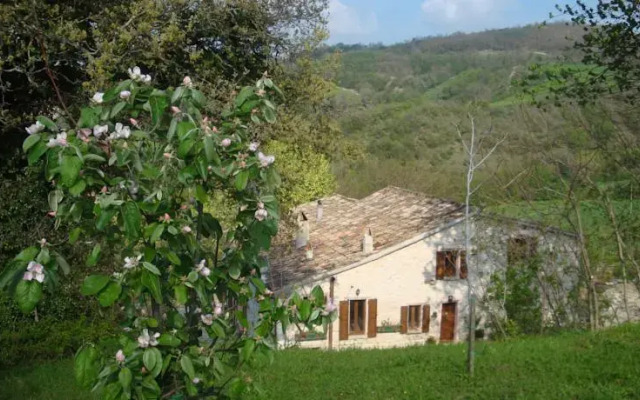 Il Colonello