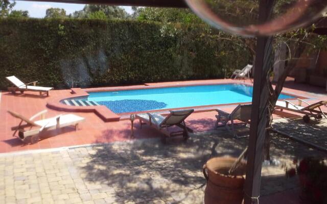 Miltiadis Farm