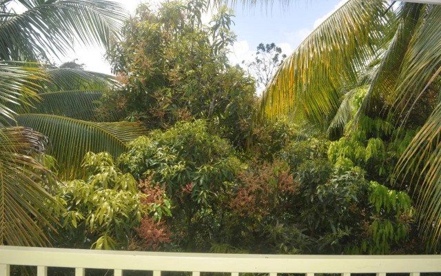 The Leatherback Lodge