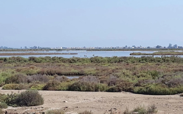 L´apartament de la Iaia