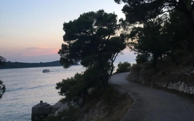 Mare