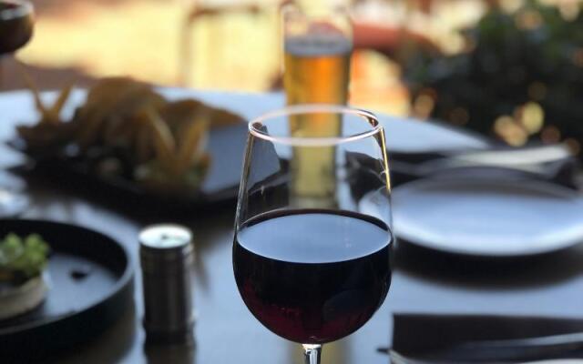 Gamma Rincón de Santiago