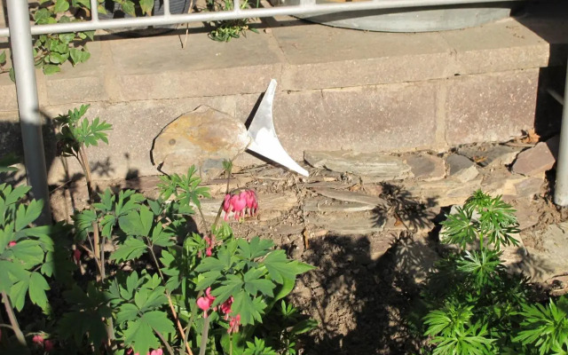 Weinhof Michael Morbach