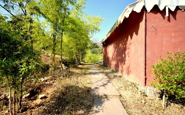 The Sky Imperial Jungle Camp Resort