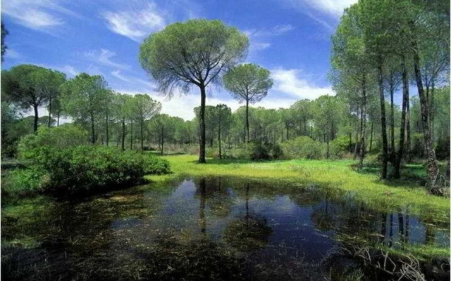 El Cortijo De Los Mimbrales