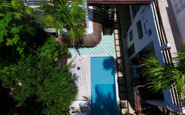 Residencia Gorila