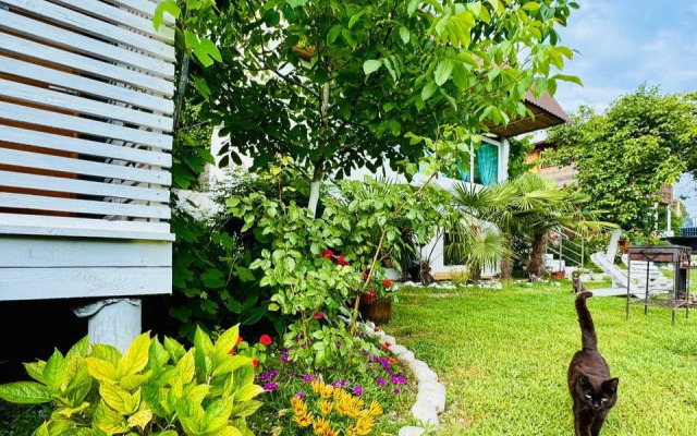 Mozaika (с. Лдзаа)