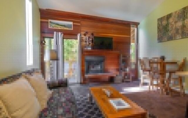 Regency Way Criterion 40 - Spruce