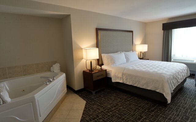 Holiday Inn Hotel & Suites Minneapolis - Lakeville