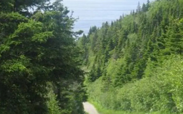 Gite au Pied du Phare