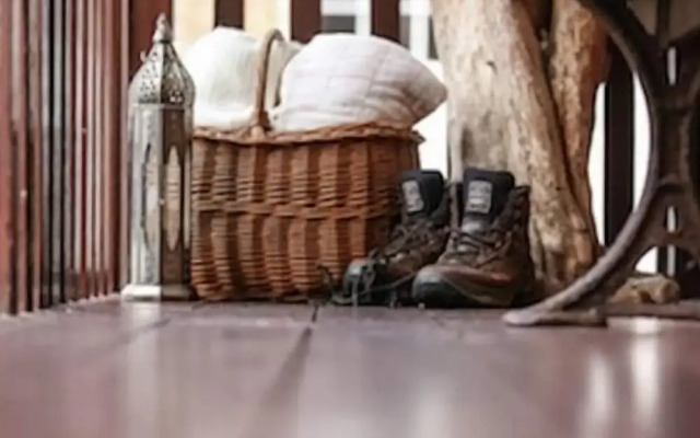 The Shepherd's Purse