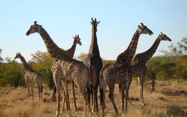 57 Waterberg Lodge