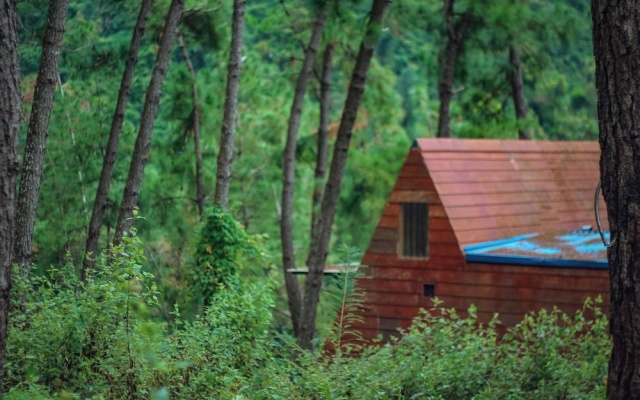 Ecolodge Cat Ba