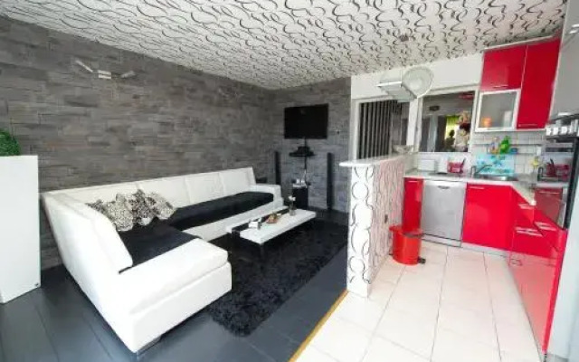 Apartment Adi Center (free parking)
