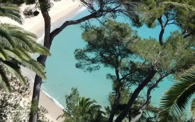 Eden Mar III