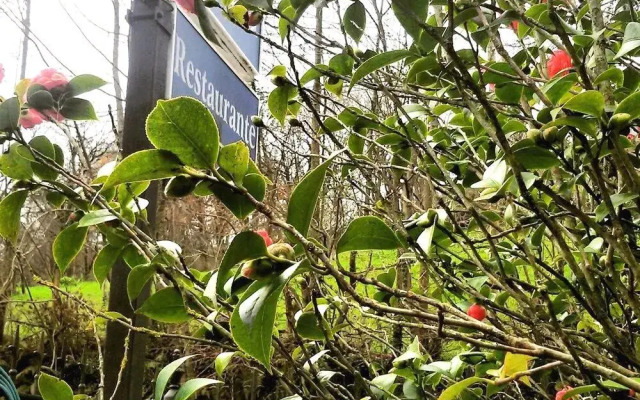 Hotel Restaurante Ribera del Chicu