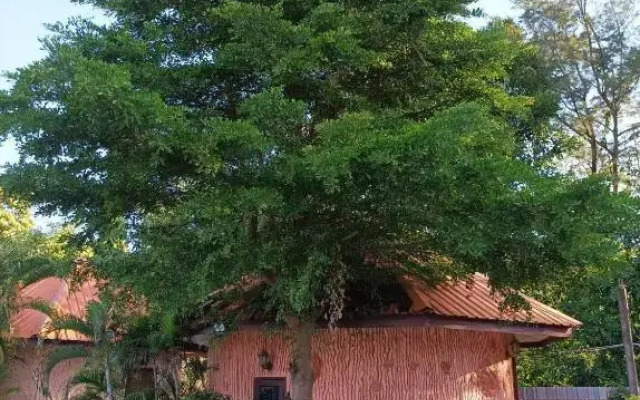 Vimanmek hotel