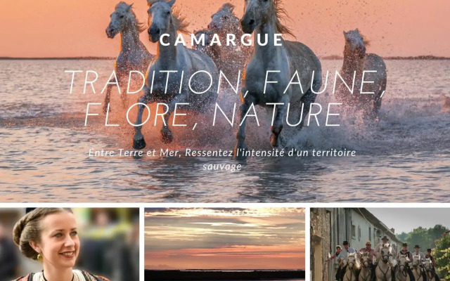 Studio Le Goéland / cosy / lumineux / plage à 2 minutes