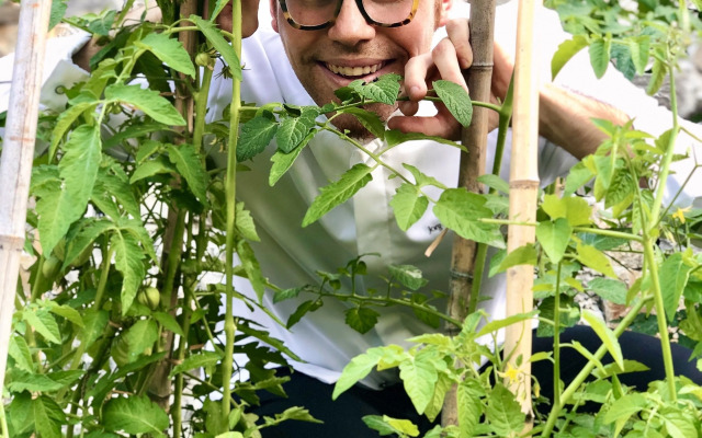 Hotel Villa Edera e La Torretta