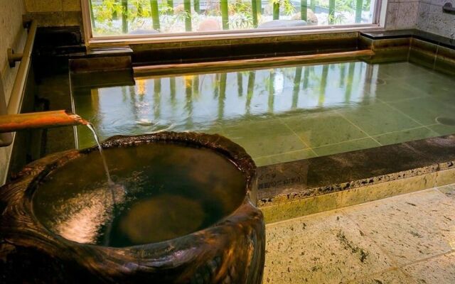 Super Hotel Natural Hot Springs Fuji