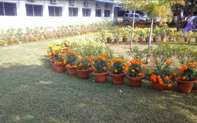Hotel chandan