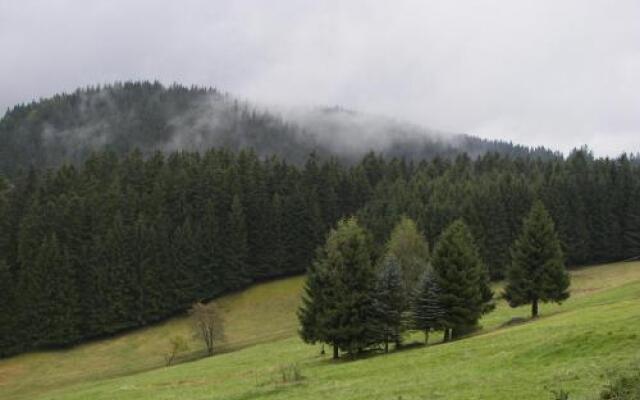 Hotel Zum Schneekopf