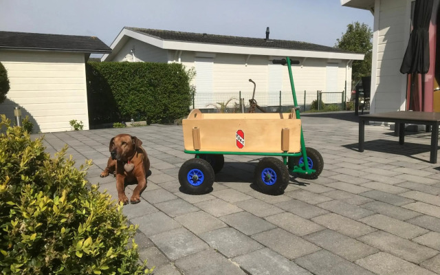 Ferienchalet „Sundowner“