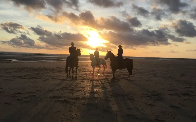 Ecuries Leseigneur - Gite