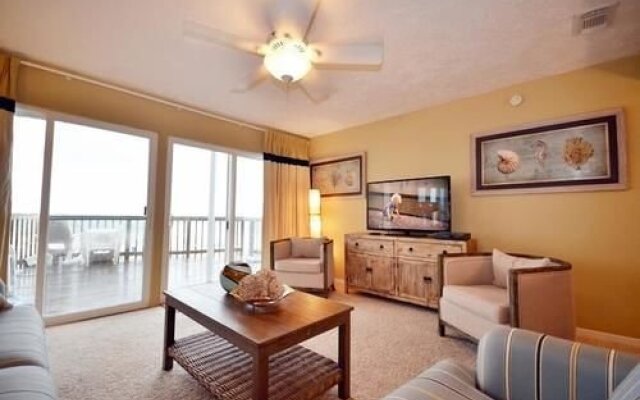 Dolphin Run by Blue Sun