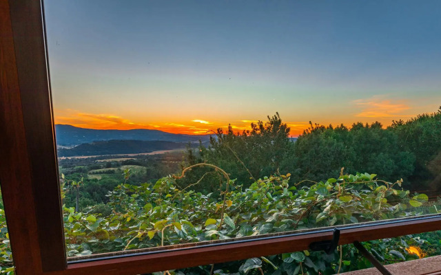 Pg-c744-sp3080at - Poggio Medei 8 2