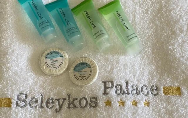 Hotel Selefkos Palace