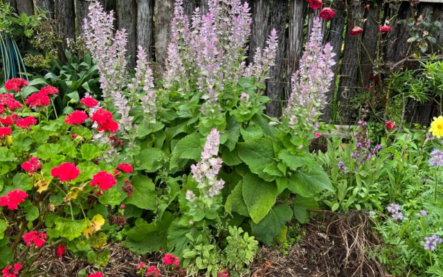 @Taradise-Opunake - eco-friendly Coastal hideaway