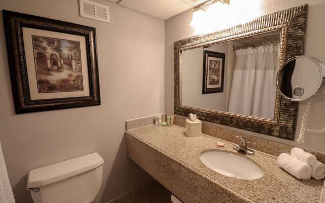 Wyndham Houston near NRG Park/Medical Center