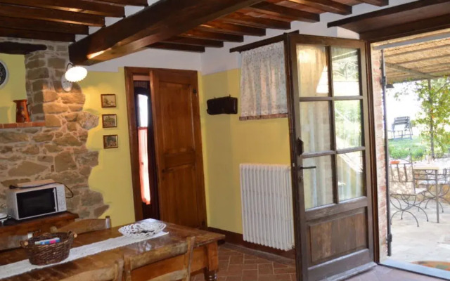 A spasso tra gli ulivi